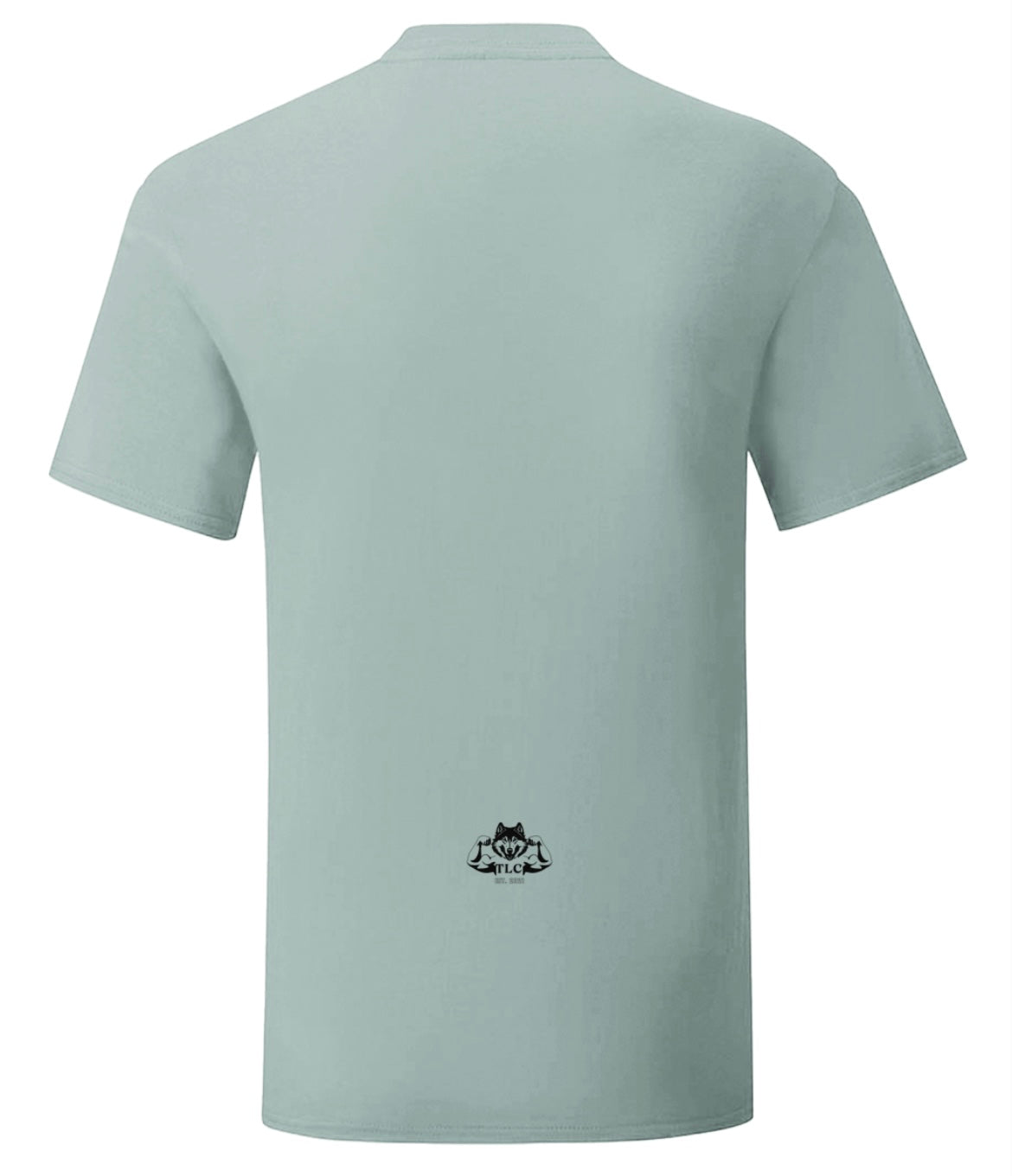 TheLifters LEADER Sports Fit T-shirt